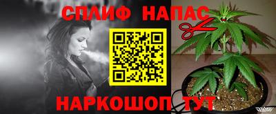 дживик Кунгур